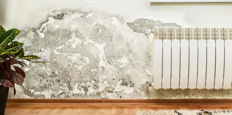 The post image for the CEL Solicitors insight post, 2.5 million social housing tenants have repair issues in their homes.