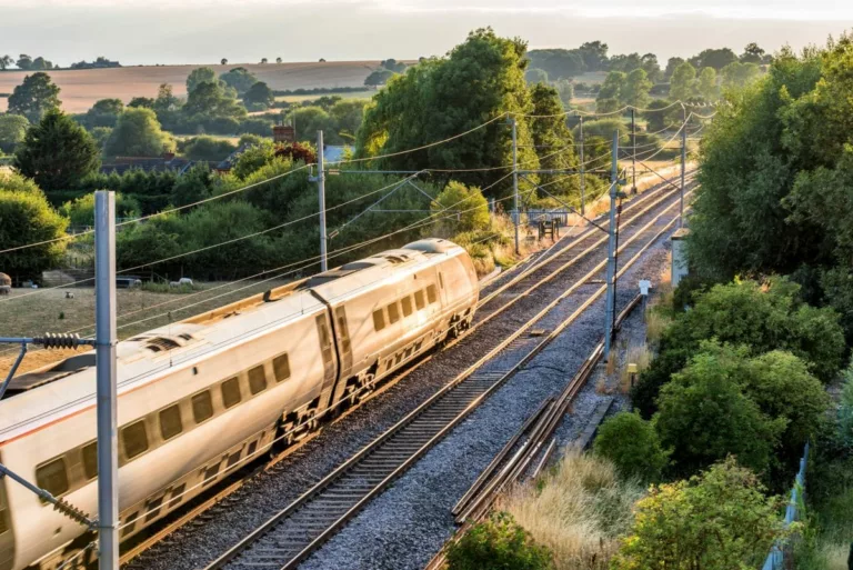 The post image for the CEL Solicitors insight post, Network Rail in a tangle as Japanese knotweed complaints hit 11,000.
