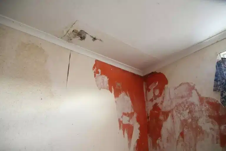 The post image for the CEL Solicitors insight post, £3,000 compensation for VIVID Housing Association tenant’s five year wait for infestation, mould and damp repairs.