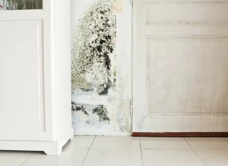 The post image for the CEL Solicitors insight post, £3,000 compensation for Southwark Tenant living with damp and mould in his home for over a decade.
