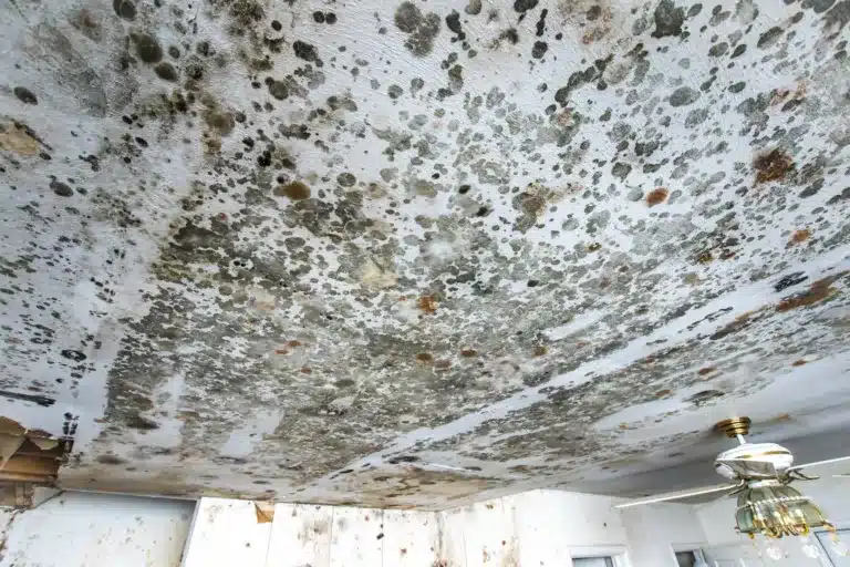 The post image for the CEL Solicitors insight post, £6,000 compensation for council house resident with damp, a defective toilet and broken lights.