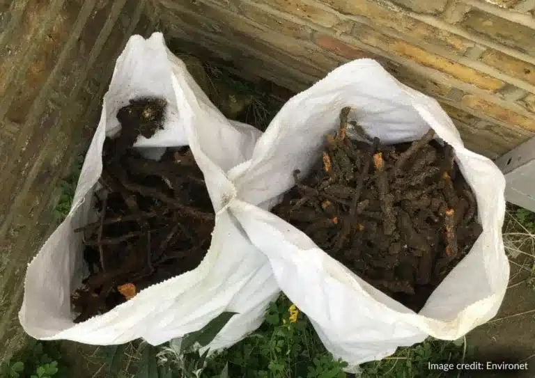 The post image for the CEL Solicitors insight post, How to Get Rid of Japanese Knotweed.