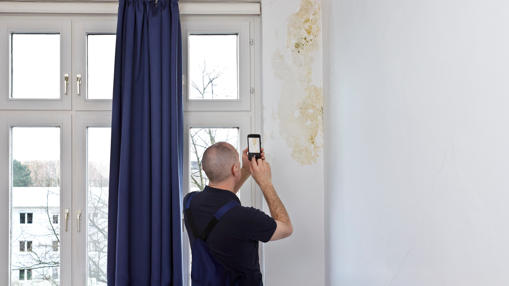 A photograph representing the CEL Solicitors post, Can I Sue My Landlord for Mould?