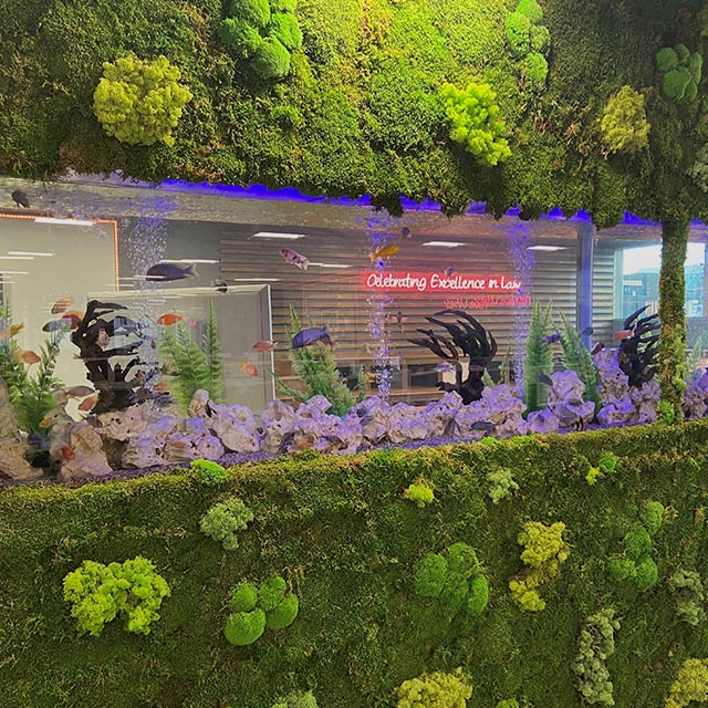 Fish Tank at CEL Solicitors 