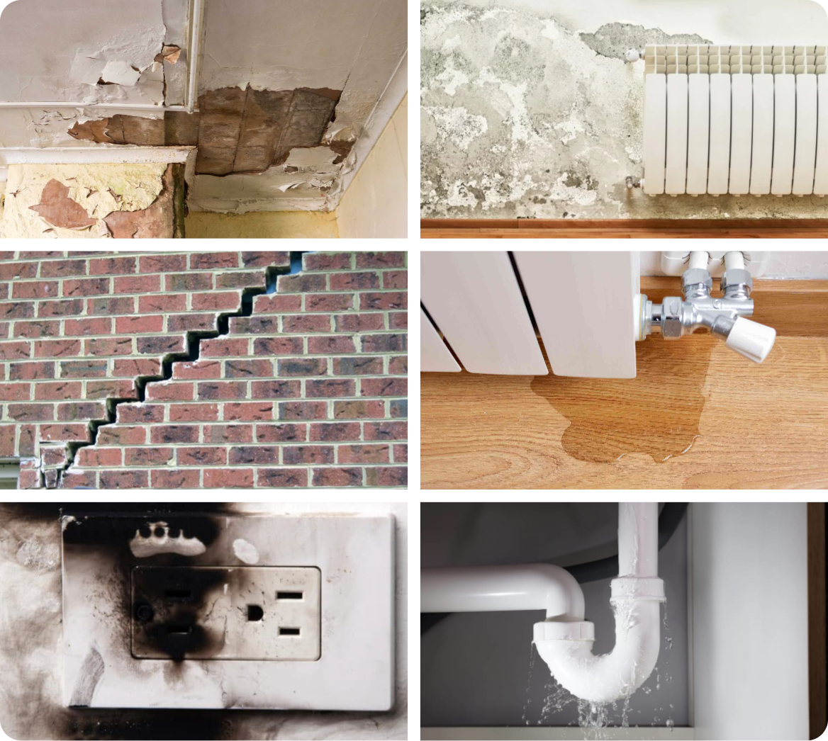Examples of Housing Disrepair claims, given by CEL Solicitors.